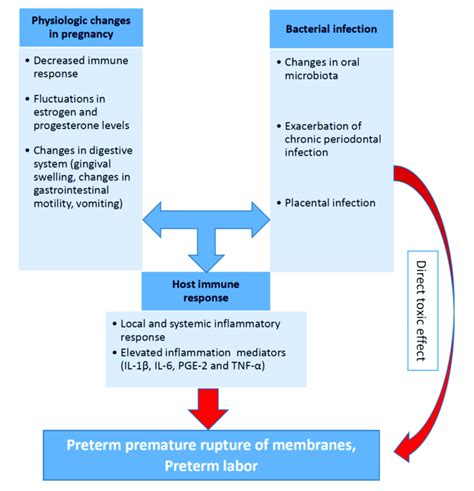 Preterm Birth: The Role of Infection and Inflammation .